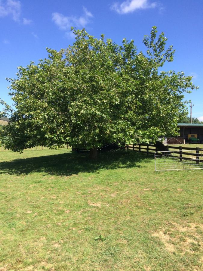 Hunua Ranges Bed & Breakfast Eksteriør bilde